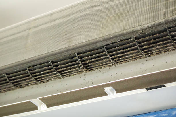Best Ventilation Cleaning Services  in Rayne, LA